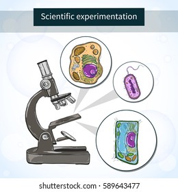 Cells under the microscope. Scientific laboratory. Vector illustration