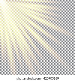 Cellular field bathed in sunlight. Sunlight design. May 3 International Day of the Sun. Vector illustration