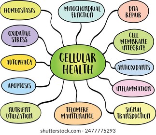 cellular health concept, processes that contribute to the optimal functioning of organism cells, vector mind map sketch