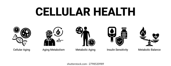 Cellular Health web banner icon concept, with Cellular Aging, Aging Metabolism, Metabolic Aging, Insulin Sensitivity.