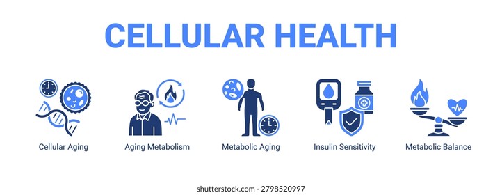 Cellular Health web banner icon concept, with Cellular Aging, Aging Metabolism, Metabolic Aging, Insulin Sensitivity.