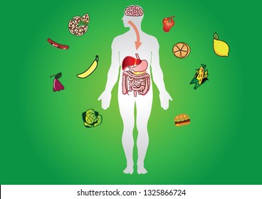 Metabolism Images, Stock Photos & Vectors | Shutterstock