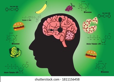 Cellular respiration in mitochondria is a set of metabolic reactions for take place in the cells of organisms to convert biochemical energy from food and other nutrients. Mitochondrial vector