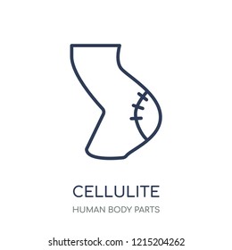 Cellulite icon. Cellulite linear symbol design from Human Body Parts collection.