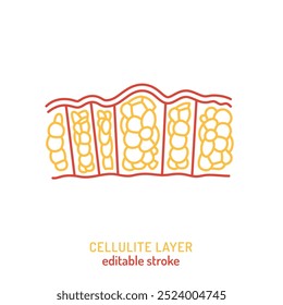 Cellulite outline icon. Gynoid lipodystrophy linear pictogram. Adiposis edematosa symbol. Editable stroke. Medical, healthcare concept. Vector illustration isolated on a white background