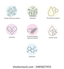 Cellulose, Amino Acid, Carbohydrates Macronutrients, Vitamins, Fat Macronutrients, Minerals, Protein Macronutrients Icons Set with editable stroke.