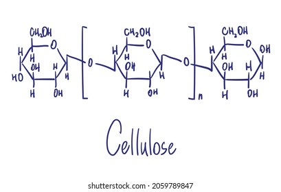 Cellulose chemical structure. Vector illustration Hand drawn.