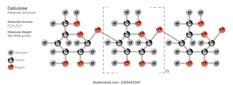 Cellulose molecular structure formula. Periodic table structural molecular formula Vector design. Pharmaceutical compounds and composition. Easily printable product with correct CPK colour. Plant