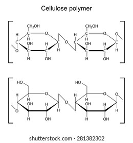 Cellulose polymer molecule - chemical formula, 2d illustration, vector, eps 8