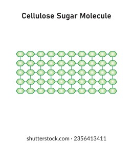 Cellulose Sugar Molecule Concept Design. Vector Illustration.