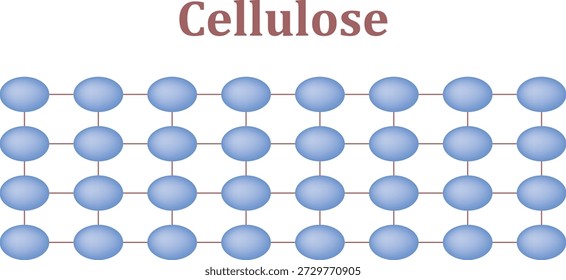 Cellulose Zucker Molekül Konzept Design. Vektorgrafik für Biochemie und wissenschaftliche Bildung.