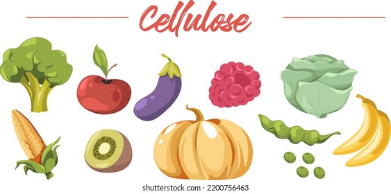 Cellulose vegetables and fruits, berries and snacks. Isolated broccoli and eggplant, tomato and aubergine, cabbage, and raspberry. Corn and kiwi, pumpkin and pea, beans. Vector in flat style