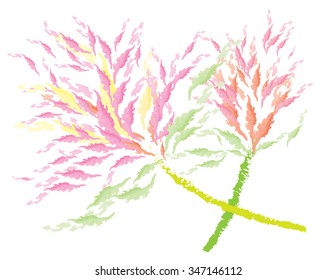 celosia flower on white background,art brush watercolor look,vector illustration