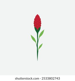 "Celosia flower vector art illustration" is a digital graphic file showcasing the intricate and unique shape of celosia flowers, ideal for use in various design projects.