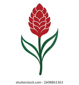 celosia flower vector image on white background