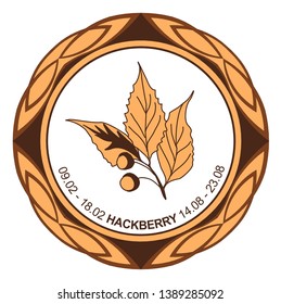 Celtic astrological horoscope. Druid tree calendar. Hackberry: from February 9 to February 18 and from August 14 to August 23. Decorative dishes. Ancient runes