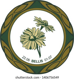 Celtic horoscope floral. Druid logo in a circle. Flower bellis: from June 22 to July 1. Astrological calendar. Botanical pattern bellis perennis.