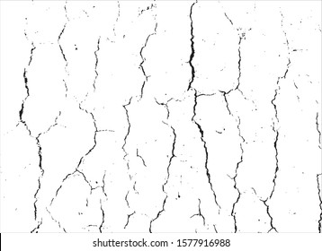 cement texture gray background vector