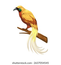 Cendrawasih Bird aka Bird of paradise Cartoon Illustration Vector