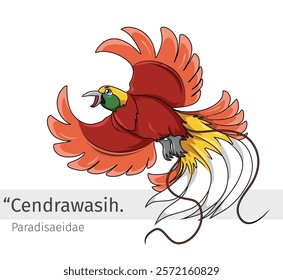 Cendrawasih or bird of paradise flaying  cartoon illustration. wildlife animal isolated. Bird cartoon collection. bird of paradise Cartoon character