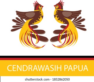Cendrawasih bird the rare bird in Papua Indonesia