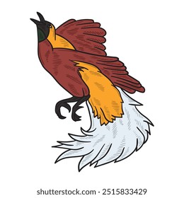 Cendrawasih Illustration Colored - Cendrawasih-11
