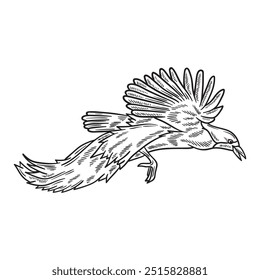 Cendrawasih Illustration Colorless - Cendrawasih-10