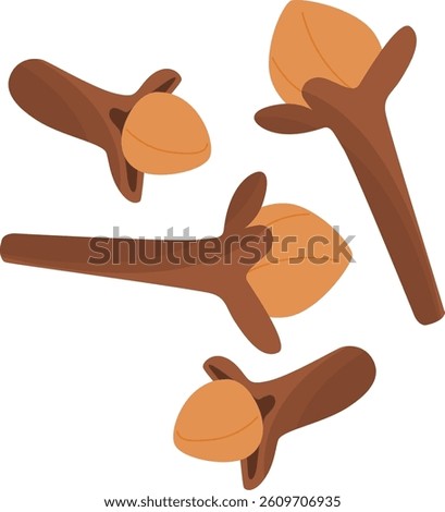 Cengkeh or Cloves Indonesian Spices