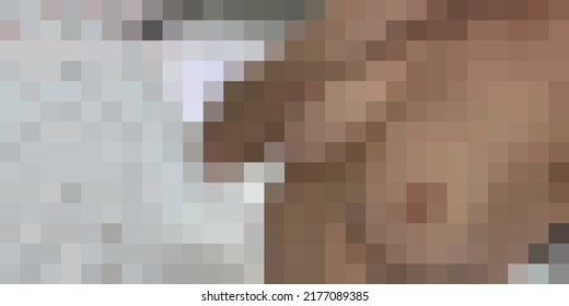 Censorship for app, tv or site with an adult theme. Censor pixel sign, nudity skin or sensitive adult content cover. Vector pixel art illustration with female breasts. Background with beige squares.
