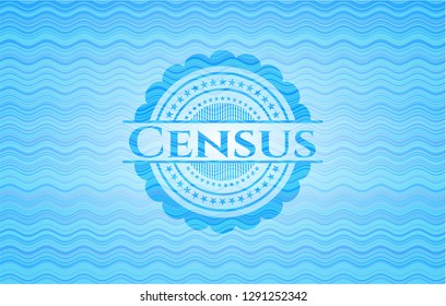 Census water badge.