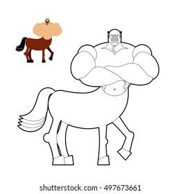 Centaur coloring book. Line style of mythical creature. Half horse half person. Fairy-tale characters athlete. Man hoss
