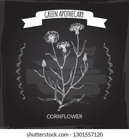 Centaurea cyanus aka cornflower or bachelor button sketch on black. Green apothecary series. Great for traditional medicine, or gardening.