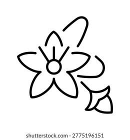 Centaury flower icon. Nature and herb line symbol. Black and white.