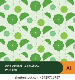 centella asiatica cica pattern green nature ingredient vegan vector