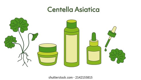 Centella Asiatica cosmetic set. Leaves of gotu cola. Indian pennywort herb.