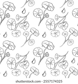 Centella asiatica and drops black white vector seamless pattern isolated. Repeated texture of pennywort, gotu kola herbal plants drawn monochrome. Tiger herb linear sketch painted for package, textile