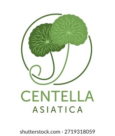 Centella asiatica extrair emblema - planta perene indiana pennywort usado em cosmetologia e medicina tradicional. Em cores planas