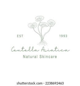 Centella Asiatica or Gotu Kola Skincare logo for Natural and Beauty look