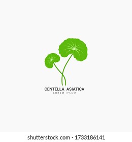 Centella Asiatica icon logo vector design template