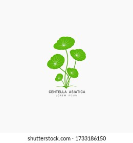 Centella Asiatica icon logo vector design template