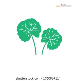 Centella asiatica icon on white background.Herbs help to heal inflammation.Gotu kola icon.vector illustration.