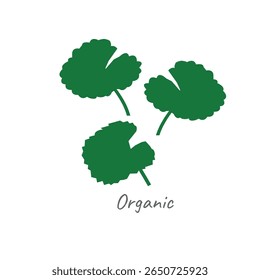 Centella asiatica ícone no fundo branco.Ervas ajudam a curar a inflamação.Gotu kola ícone.ilustração vetor.