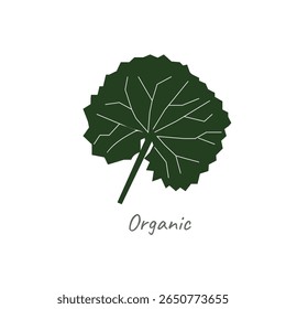 Centella asiatica ícone no fundo branco.Ervas ajudam a curar a inflamação.Gotu kola ícone.ilustração vetor.