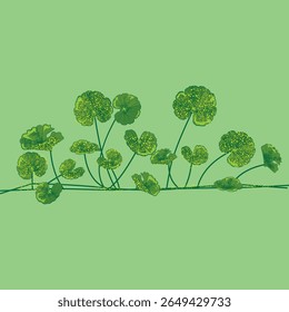 Vetor de folha Centella asiatica em estilo plano. Ótimo para fitoterápicos, cuidados com a pele e design de produtos de bem-estar. EPS escalável para impressão e uso digital.