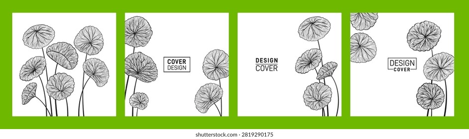 Centella asiatica leaves cover or square card design set. Gotu kola Asiatic pennywort herb exotic pattern page flyer notebook planner. Brochure social media catalog. Decorative natural page background