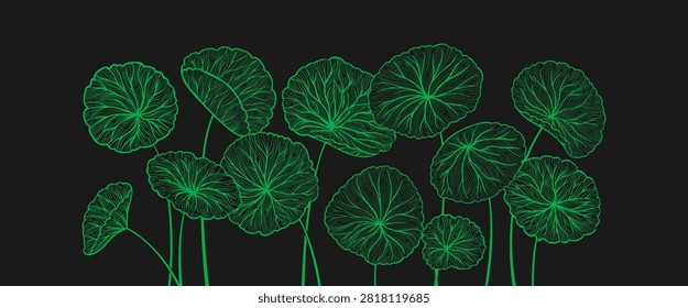 Centella asiatica leaves web banner Hand drawn linear style art. Gotu kola, Asiatic pennywort herb pattern. Medicinal plant template for label, package invitation. Vector design background