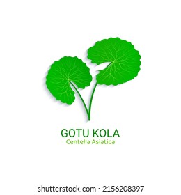 Centella Asiatica logo vector illustration. Gotu kola icon logotype template. Asiatic pennywort isolated on a white background. Green leaf for organic cosmetics, natural product, food, medicine design