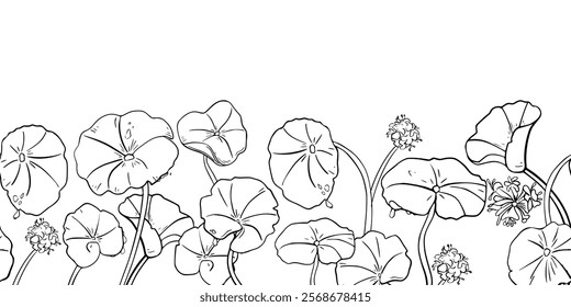 Centella asiatica medicinal herb black white vector on seamless border. Repeated texture of Indian pennywort, gotu kola round leaves plant painted in linear sketch for design label organic product.