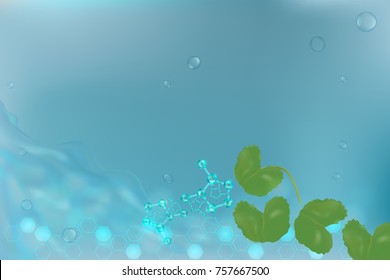Centella asiatica on blue background with space for text. illustration vector