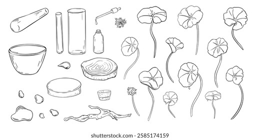 Centella asiatica, pennywort, glass flask and dropper bottle in set black white vector illustration on white. Gotu kola, wooden stand, stone mortar and drops hand drawn linear sketch for design label.